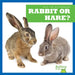 Rabbit or Hare? by Jamie Rice