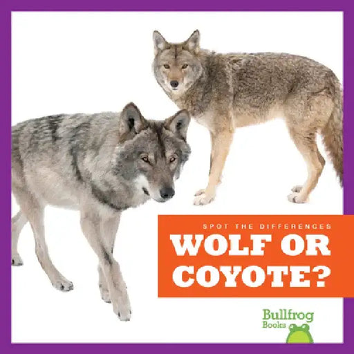 Wolf or Coyote? by Jamie Rice