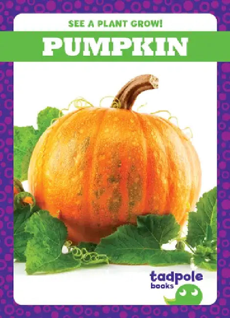 Pumpkin by Charlie W. Sterling