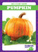 Pumpkin by Charlie W. Sterling