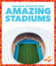 Amazing Stadiums by Anita Nahta Amin
