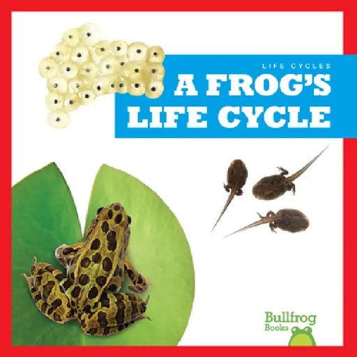 A Frog's Life Cycle by Jamie Rice