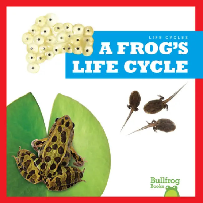 A Frog's Life Cycle by Jamie Rice
