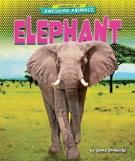 Elephant by Jenna Grodzicki