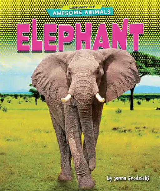 Elephant by Jenna Grodzicki