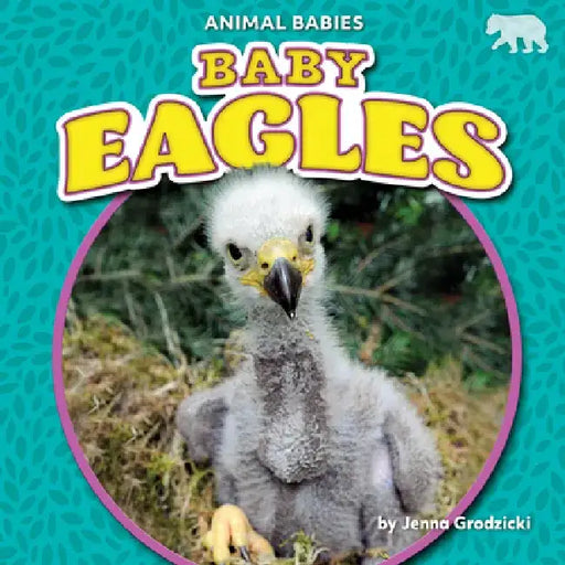 Baby Eagles by Jenna Grodzicki