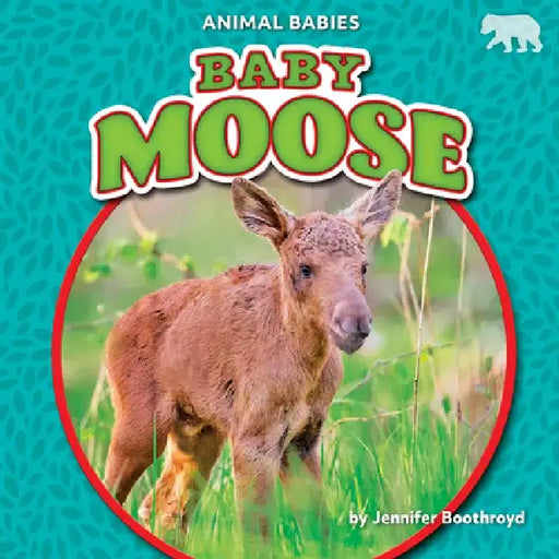 Baby Moose by Jennifer Boothroyd