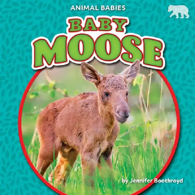 Baby Moose by Jennifer Boothroyd