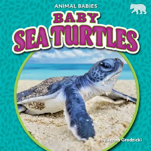 Baby Sea Turtles by Jenna Grodzicki