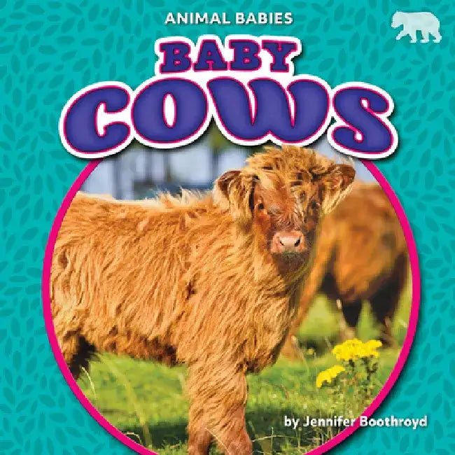 Baby Cows by Jennifer Boothroyd