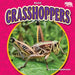 Grasshoppers by Emma Huddleston
