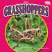 Grasshoppers by Emma Huddleston