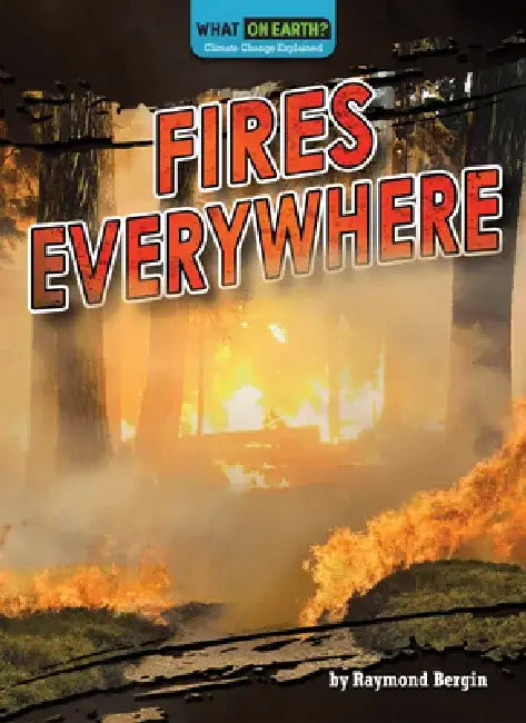 Fires Everywhere by Raymond Bergin