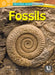 Fossils by Ruth Owen