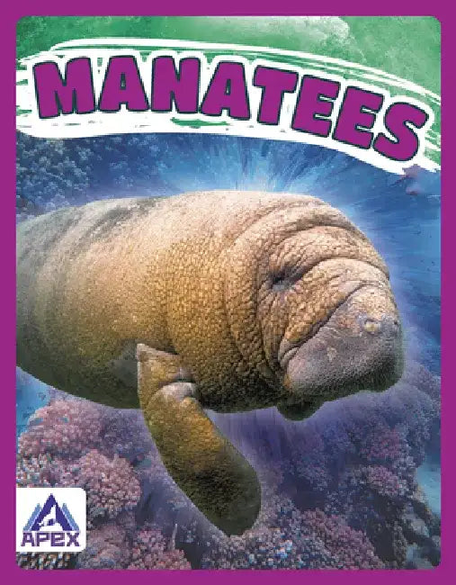 Manatees by Katie Chanez