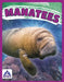 Manatees by Katie Chanez