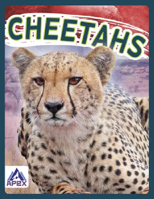 Cheetahs by Sophie Geister-Jones