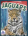 Jaguars by Sophie Geister-Jones