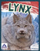 Lynx by Sophie Geister-Jones