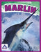Marlin by Katie Chanez