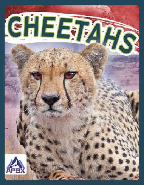 Cheetahs by Sophie Geister-Jones