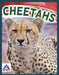 Cheetahs by Sophie Geister-Jones