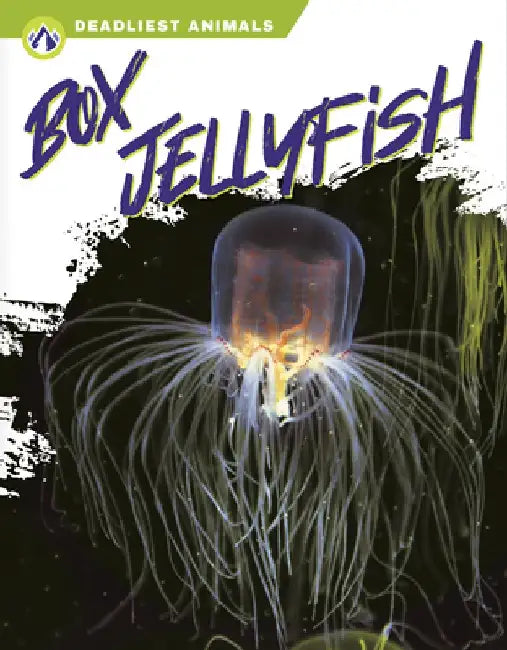 Box Jellyfish by Connor Stratton