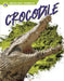 Crocodile by Golriz Golkar