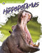 Hippopotamus by Golriz Golkar