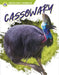 Cassowary by Connor Stratton