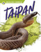 Taipan by Rachel Hamby