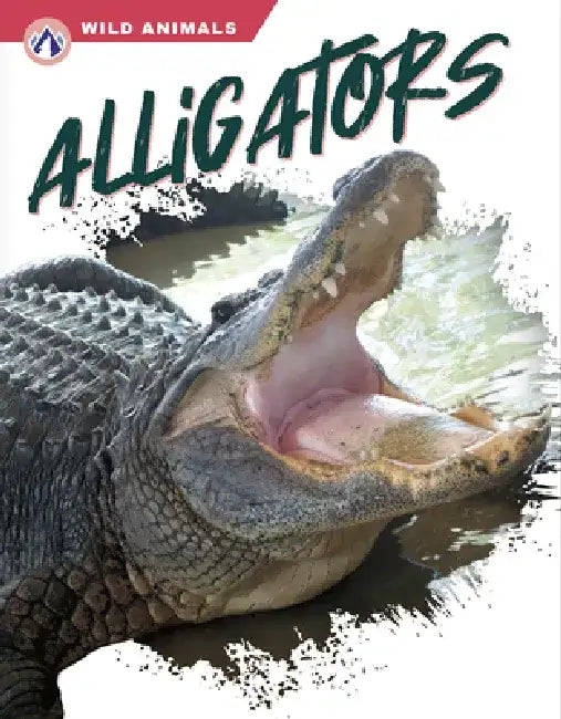 Alligators by Shannon Jade