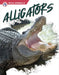 Alligators by Shannon Jade