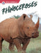 Rhinoceroses by Rachel Hamby