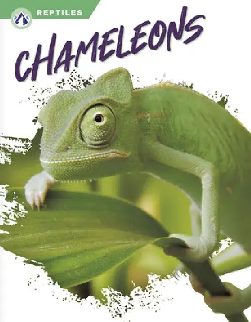 Chameleons by Megan Gendell