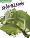 Chameleons by Megan Gendell