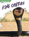 King Cobras by Deb Aronson