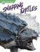 Snapping Turtles by Shannon Jade