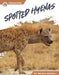 Spotted Hyenas by Megan Gendell