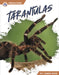 Tarantulas by James Bow