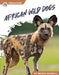 African Wild Dogs by Megan Gendell