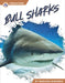Bull Sharks by Marissa Kirkman