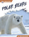 Polar Bears by Melissa Ross