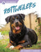 Rottweilers by Kimberly Ziemann