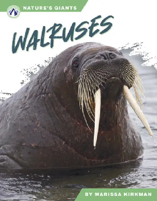 Walruses by Marissa Kirkman