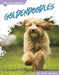 Goldendoodles by Libby Wilson