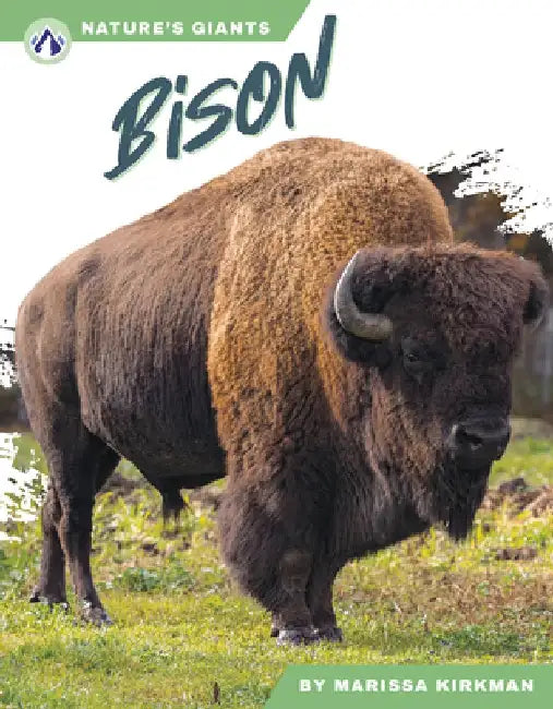 Bison by Marissa Kirkman