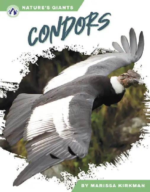 Condors by Marissa Kirkman