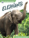 Elephants by Marissa Kirkman