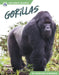 Gorillas by Marissa Kirkman